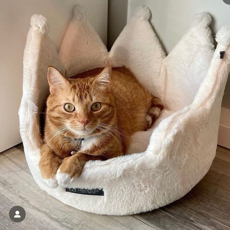 Luxury Cat Bed