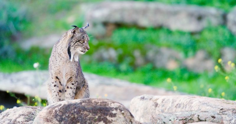 Madrid Zoo, Spain