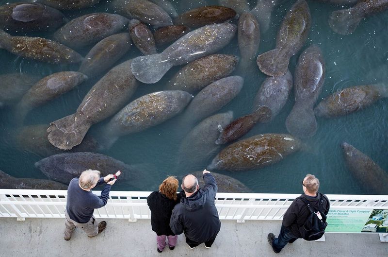 Manatee Lagoon, West Palm Beach, Florida