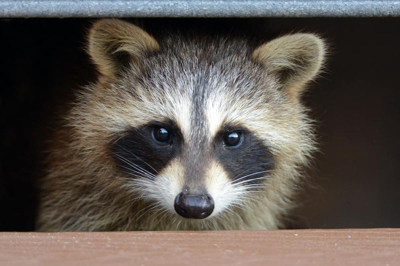 Masked Bandits