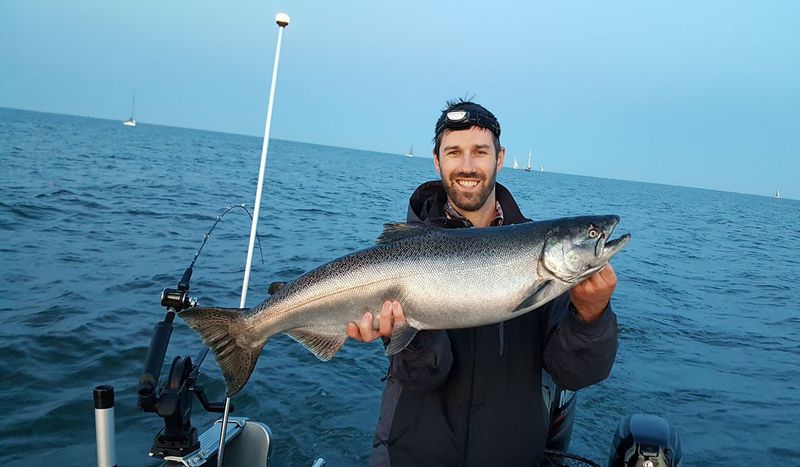 Michigan: Chinook Salmon