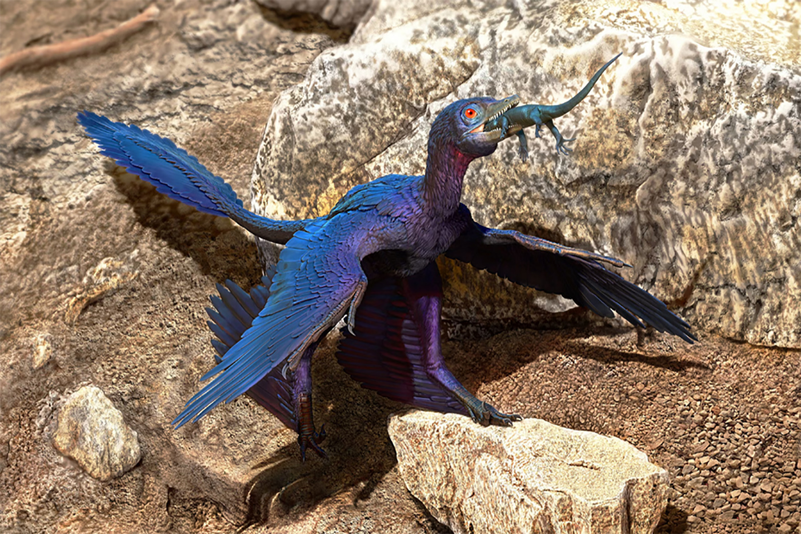 Microraptor