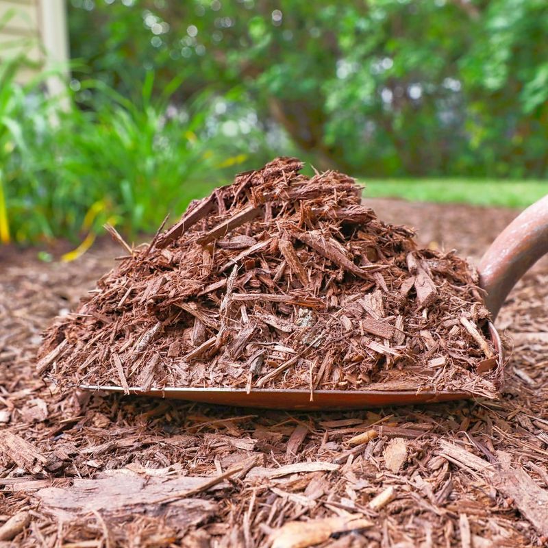 Mulch