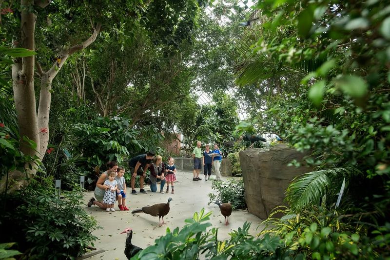 National Aviary, Pennsylvania