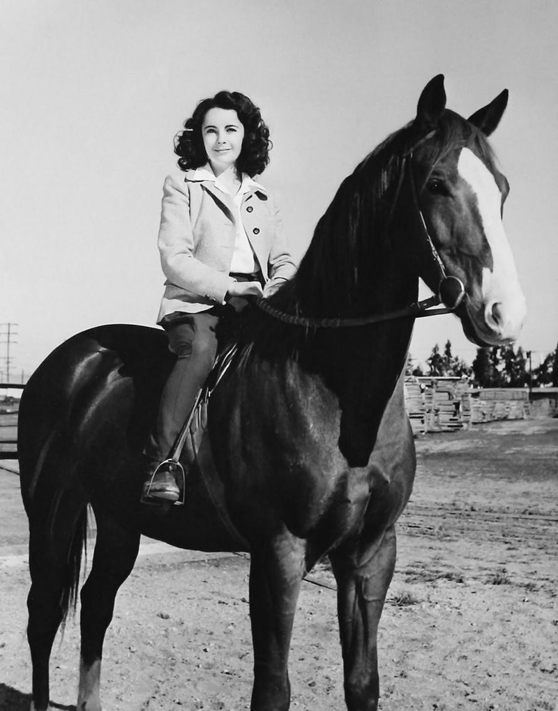 National Velvet