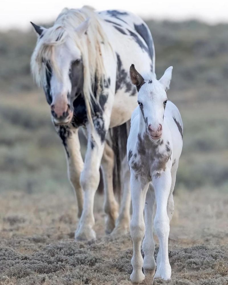 Natural Birthing and Rearing Practices