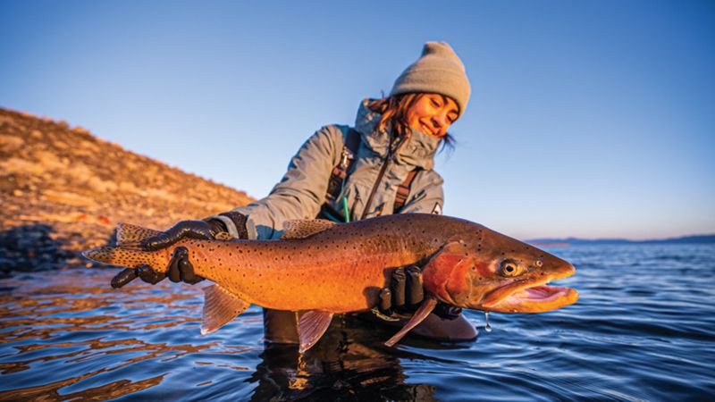 Nevada: Lahontan Cutthroat Trout