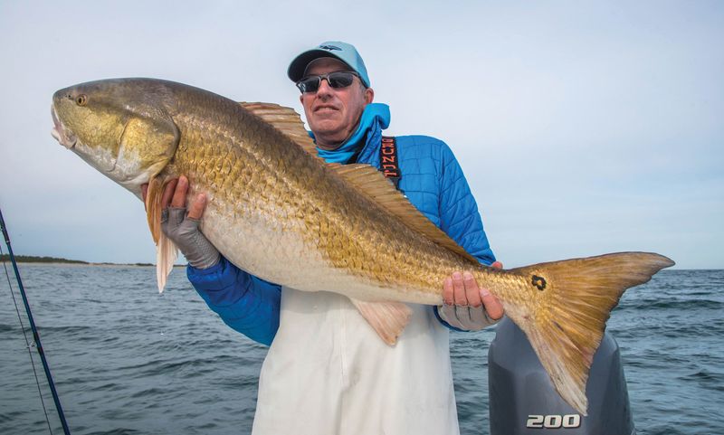 North Carolina: Red Drum