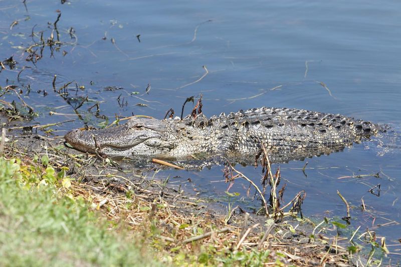 North Carolina