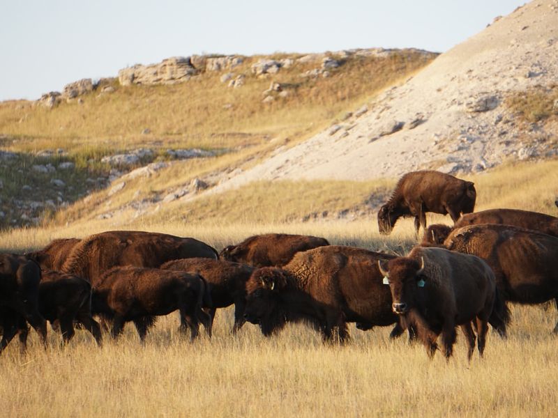 North Dakota