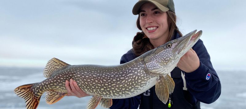 North Dakota: Northern Pike