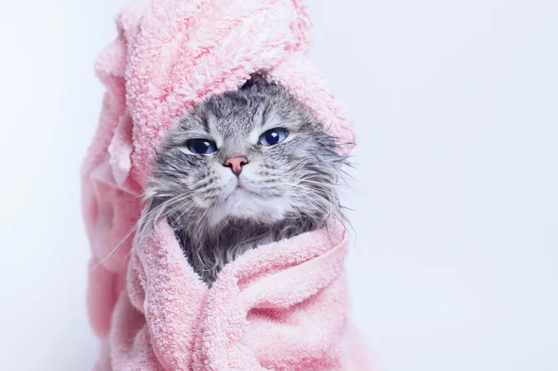 Oatmeal Baths