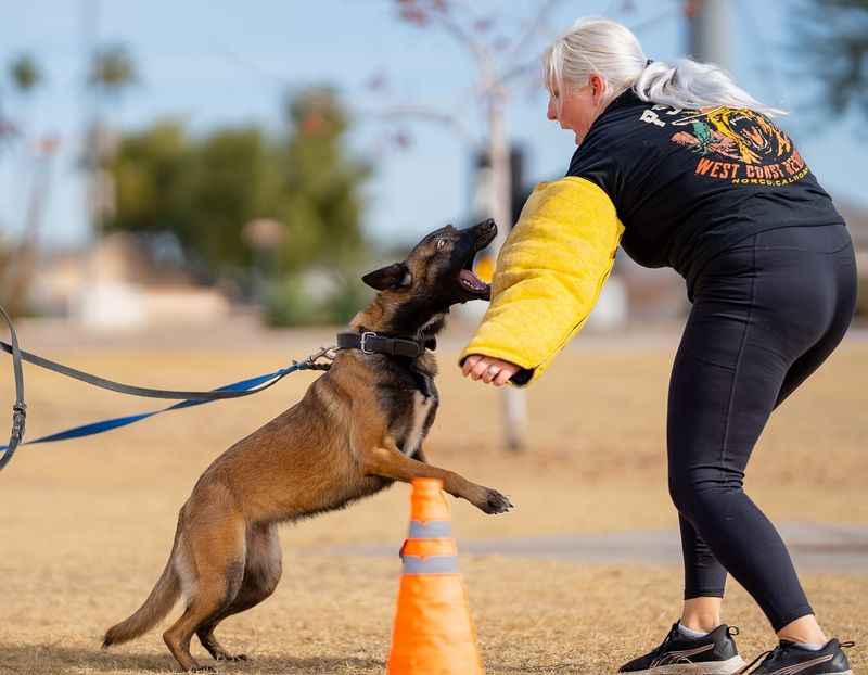 Obedience Training