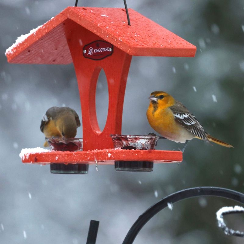 Offer Variety of Bird Feeders