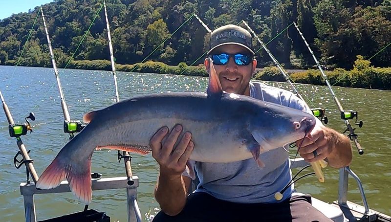 Ohio: Blue Catfish