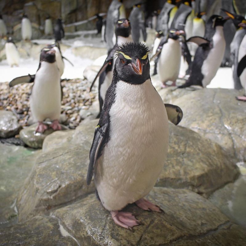 Omaha's Henry Doorly Zoo, USA