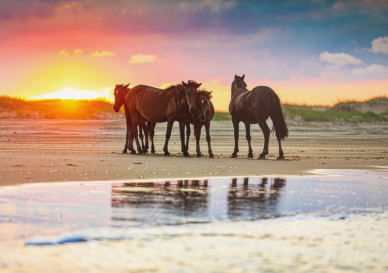 Outer Banks (North Carolina)