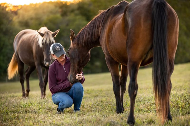 Owning a Horse Is Easy