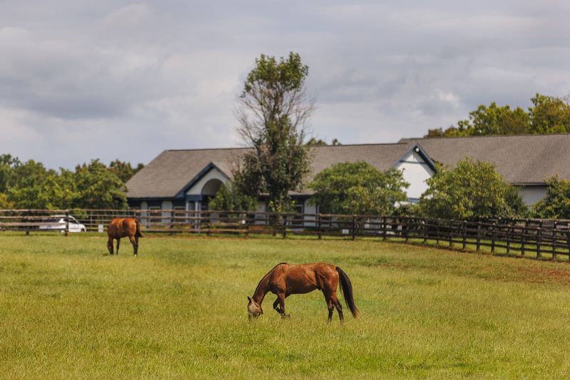 Owning a Horse Is Only for the Wealthy