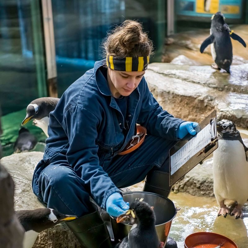 Penguin Research Breakthroughs