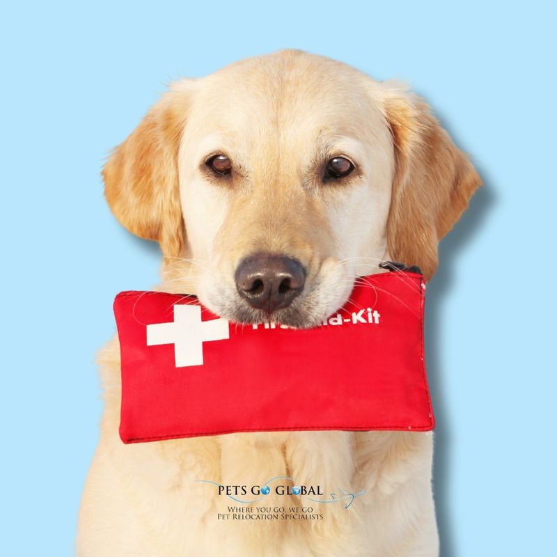 Pet First Aid Kit