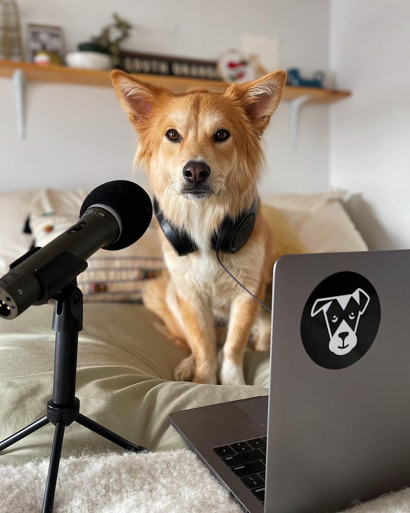 Pet-Friendly Podcasts