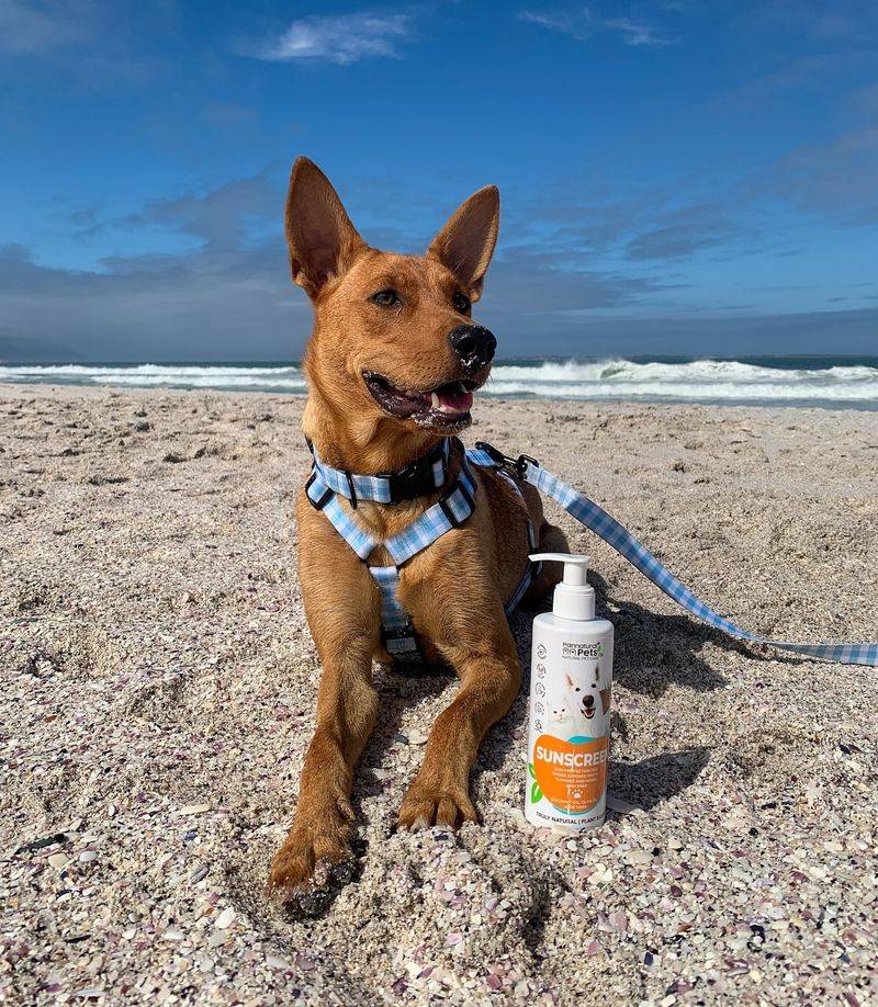 Pet-Friendly Sunscreen