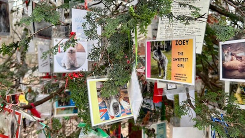 Pet Memorial Tree