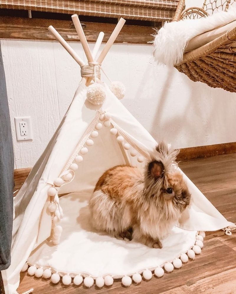 Pet Teepees