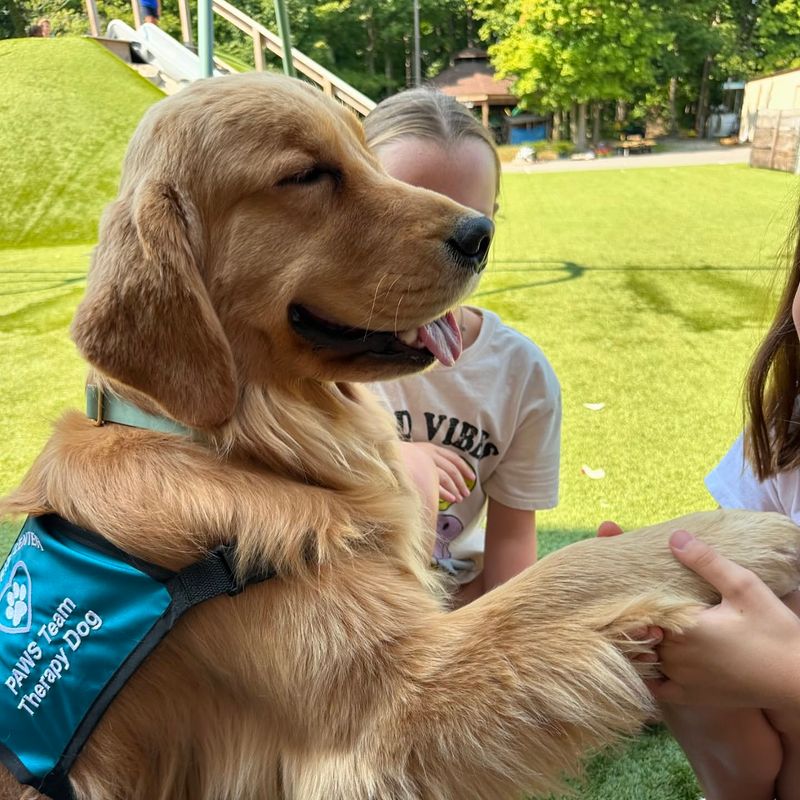 Pet Therapy in Hospitals