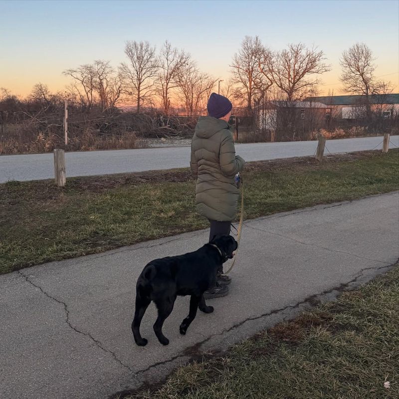 Practice Loose Leash Walking