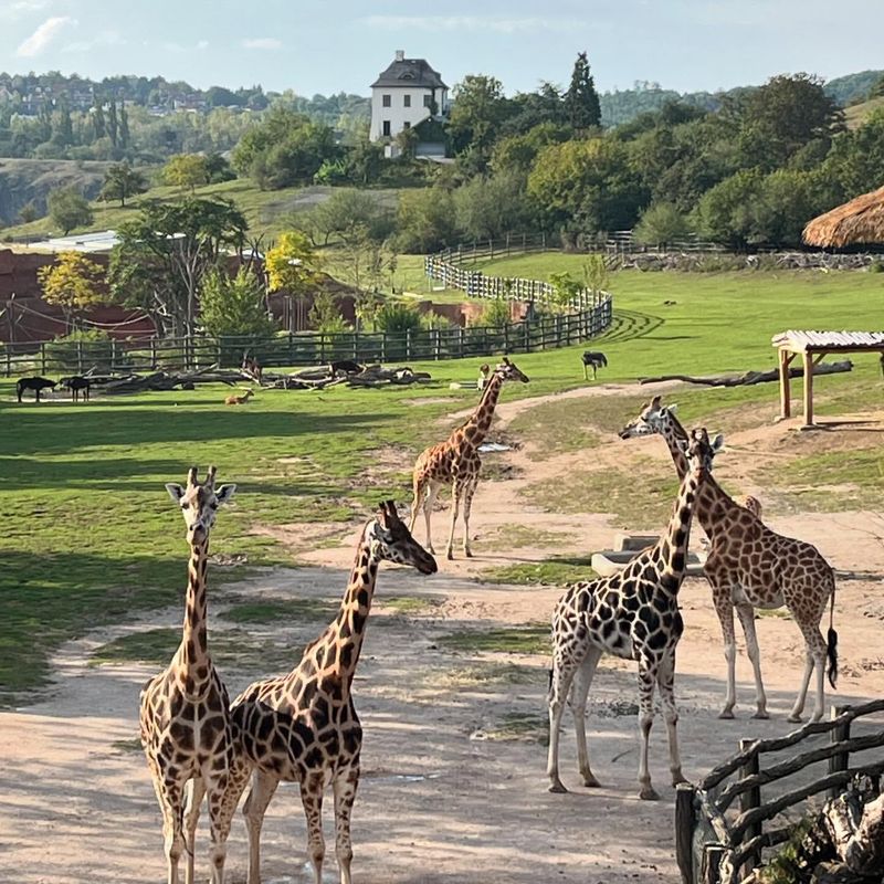 Prague Zoo, Czech Republic