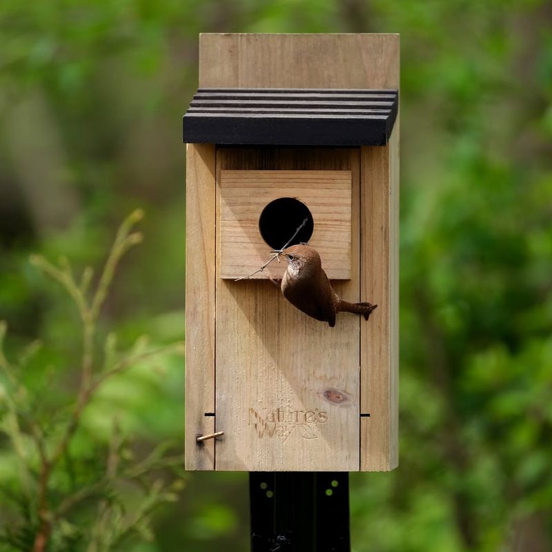 Provide Shelter with Nest Boxes