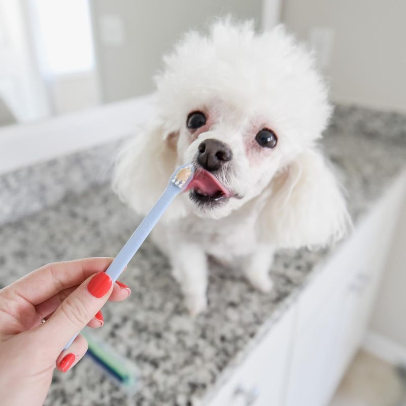 Regular Brushing