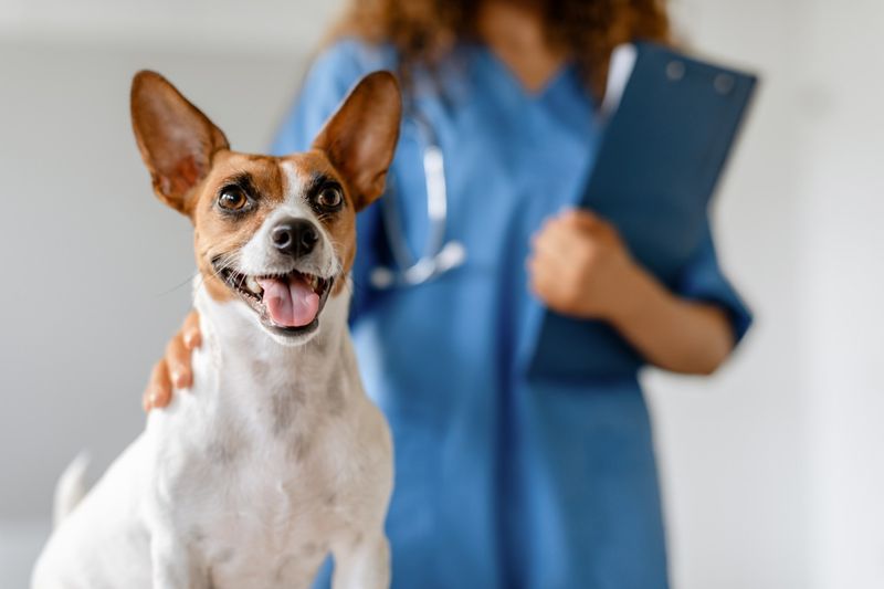 Regular Veterinary Visits