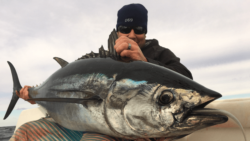 Rhode Island: Bluefin Tuna