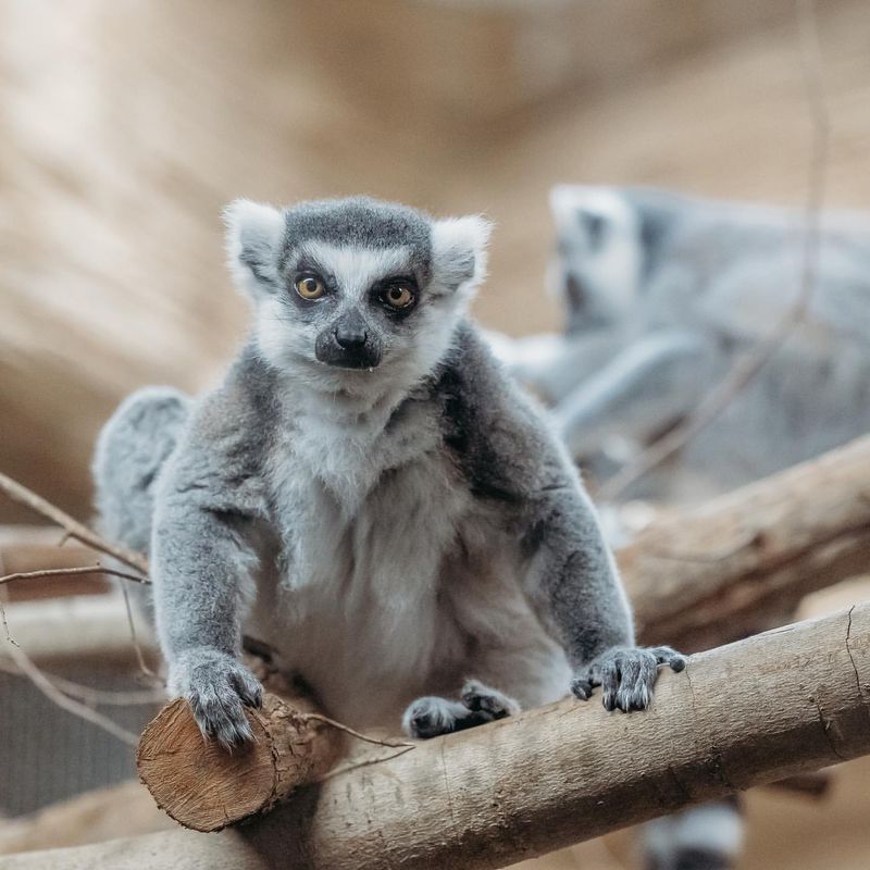 Riverbanks Zoo, South Carolina