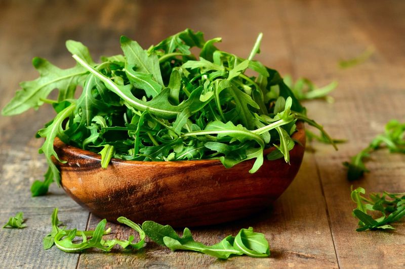 Rocket (Arugula)