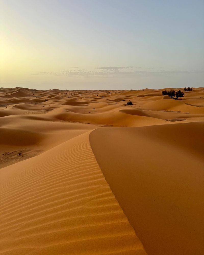 Sahara Desert