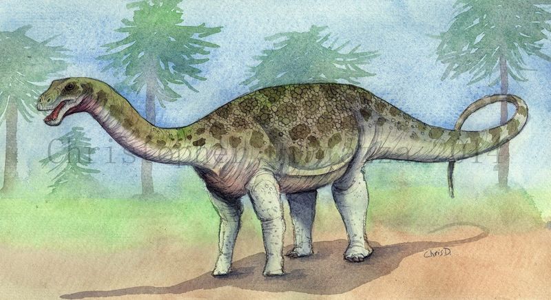 Saltasaurus