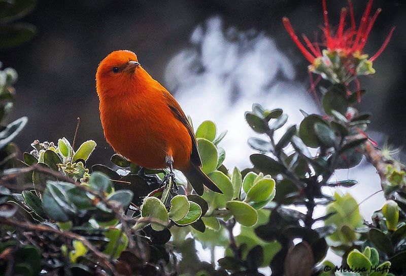 Santa Ana National Wildlife Refuge