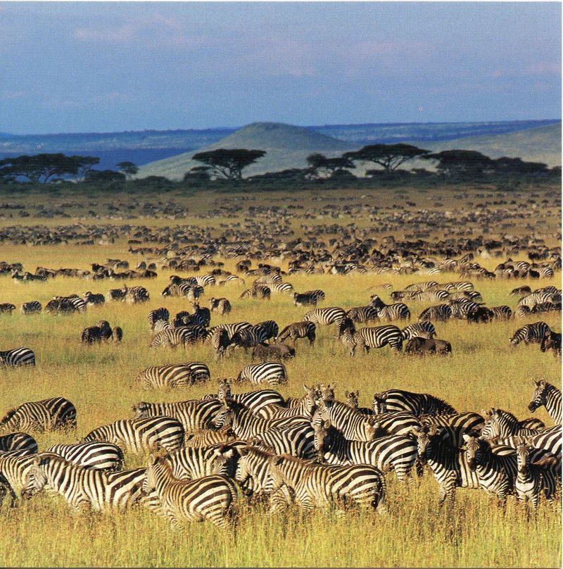 Serengeti National Park