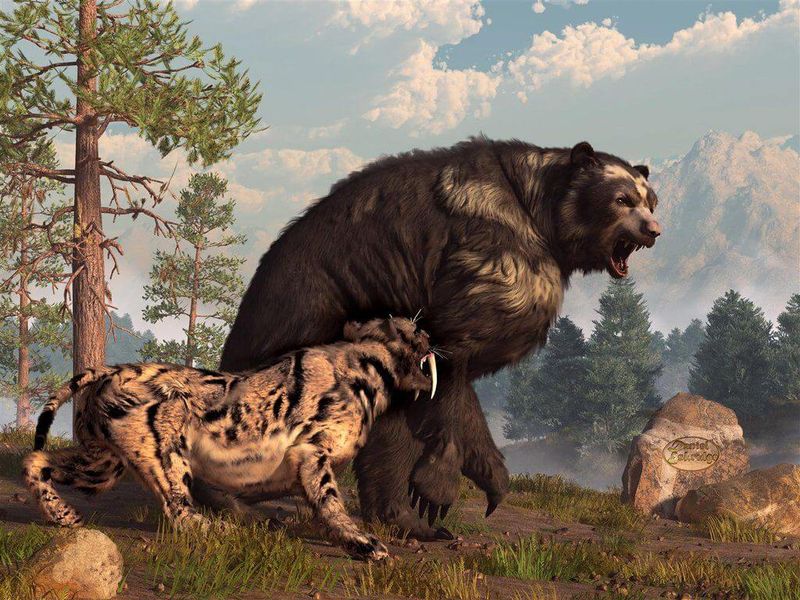 Short-Faced Bear