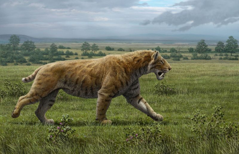 Smilodon