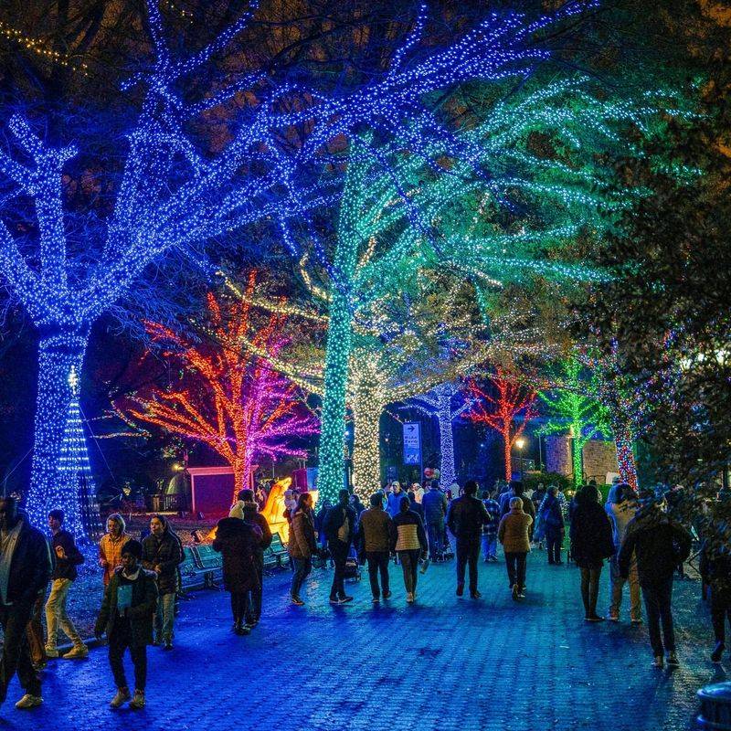 Smithsonian's National Zoo, Washington D.C.