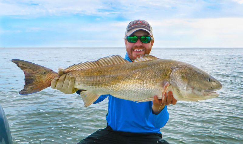 South Carolina: Red Drum