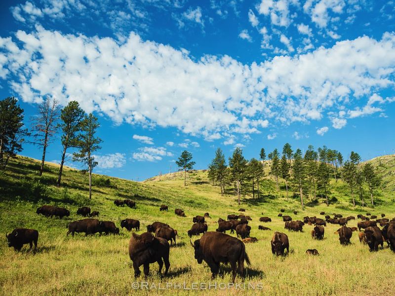 South Dakota