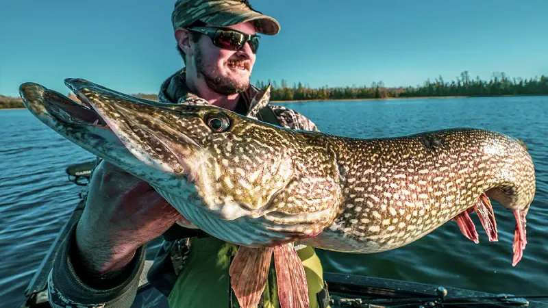 South Dakota: Northern Pike