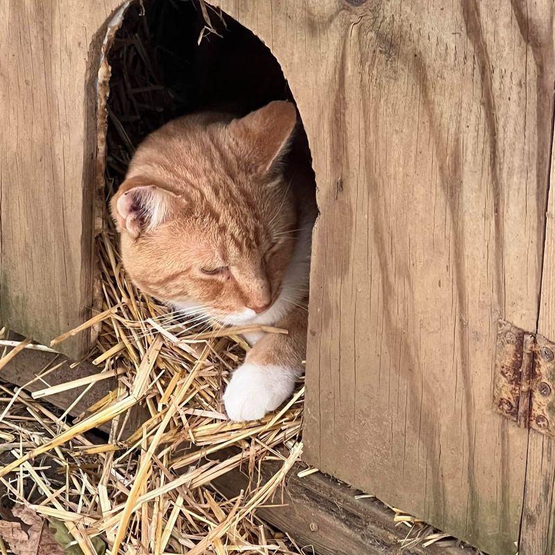 Supervised Outdoor Time