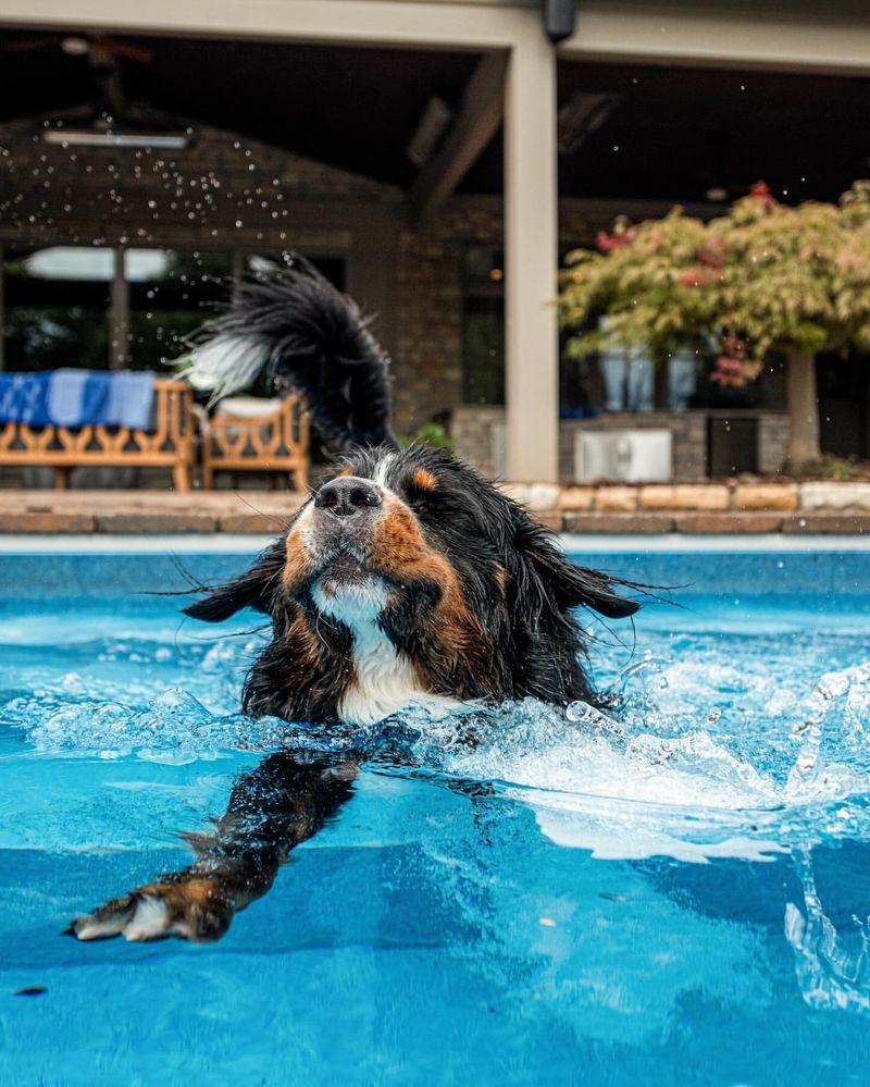 Swimming